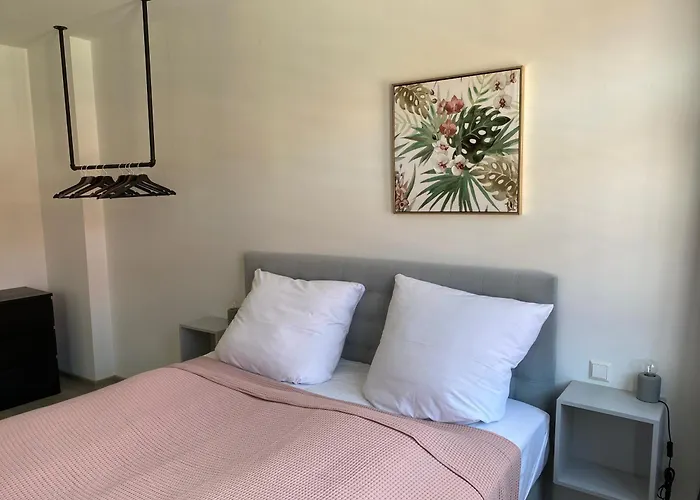 Appartement Discovaixr - Super Zentral Mit Parkplatz, Kueche, Netflix Und Mehr Eisenach