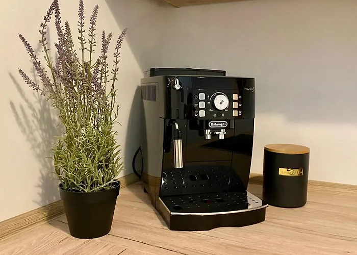 Discovaixr - Super Zentral Mit Parkplatz, Kueche, Netflix Und Mehr